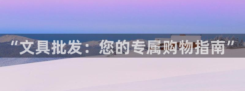 龙八国际88：“文具批发：您的专属购物指