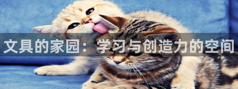 龙八国际怎么进不去了：文具的家园：学习与