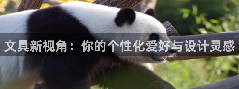 龙八国际公司是真是假：文具新视角：你的个