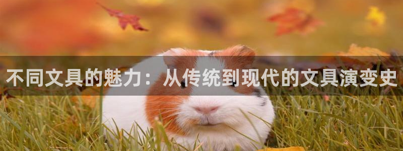 不会玩龙八国际：不同文具的魅力：从传统到