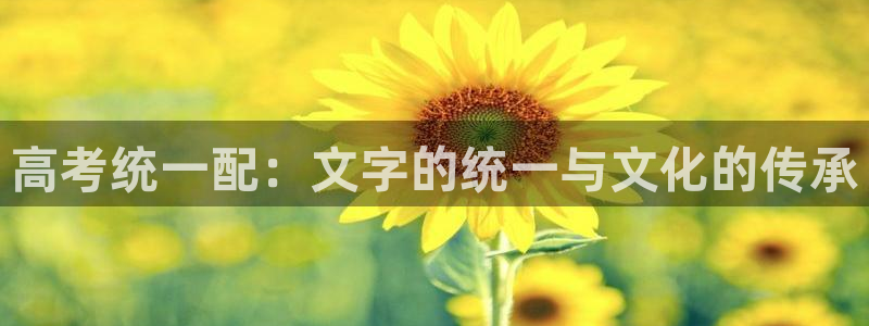 龙八国际下载安装：高考统一配：文字的统一