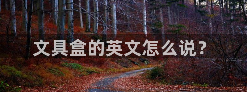 龙八国际平台可靠吗：文具盒的英文怎么说？