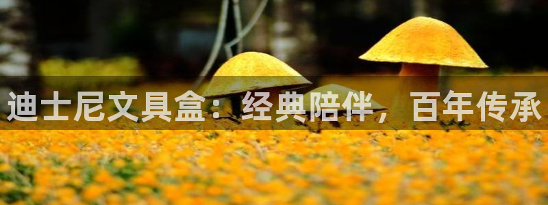 龙八国际可以京东充值吗：迪士尼文具盒：经