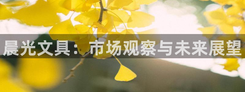 龙八国际头号玩家：晨光文具：市场观察与未