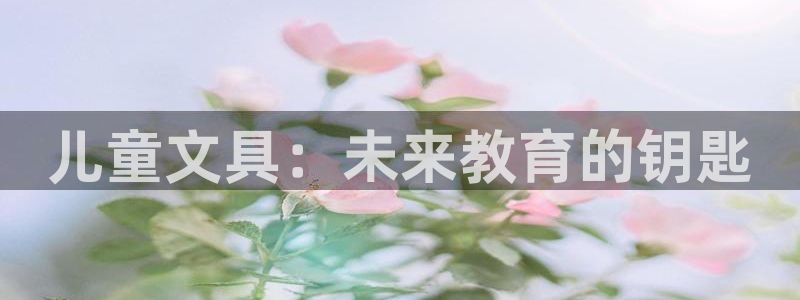 龙八国际是干什么的：儿童文具：未来教育的