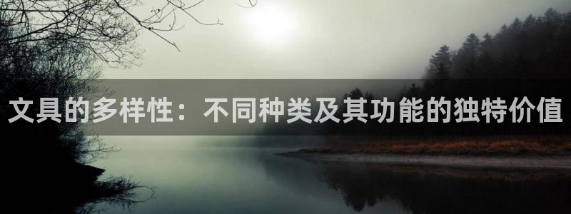龙八国际网站手机版：文具的多样性：不同种