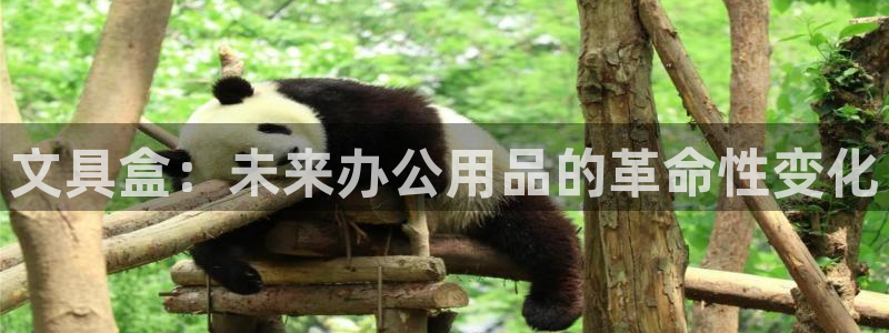 龙八国际平台手机版下载：文具盒：未来办公