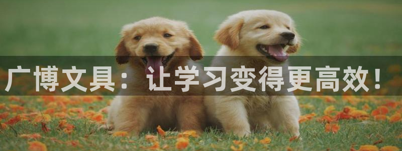 龙八国际苹果版：广博文具：让学习变得更高