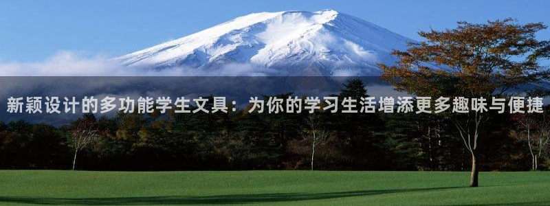 龙八国际娱乐app下载：新颖设计的多功能