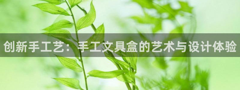不会玩龙八国际：创新手工艺：手工文具盒的