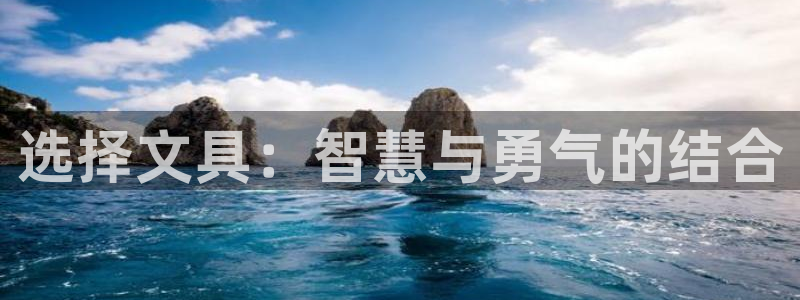 龙八国际官网安卓：选择文具：智慧与勇气的