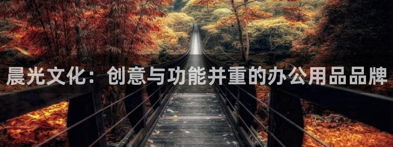 龙八国际代理：晨光文化：创意与功能并重的
