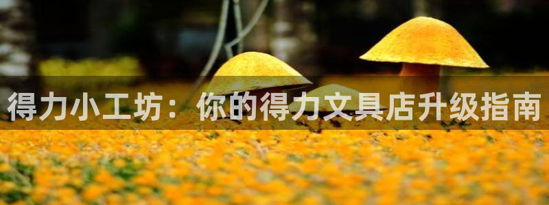 龙八国际歌曲：得力小工坊：你的得力文具店