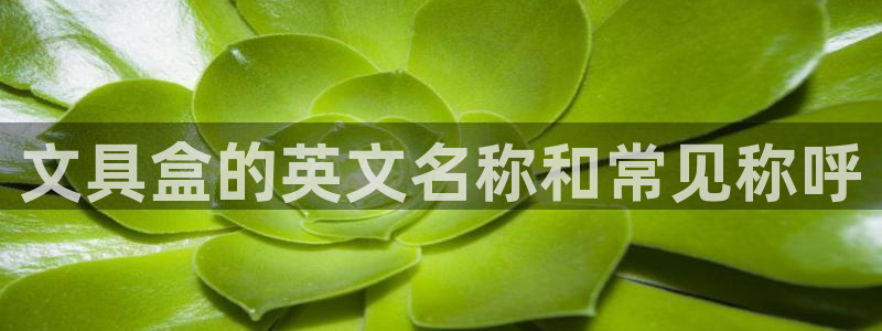 龙八国际视频网站：文具盒的英文名称和常见