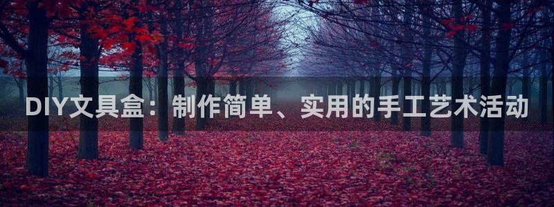 龙八国际跑路了吗：DIY文具盒：制作简单