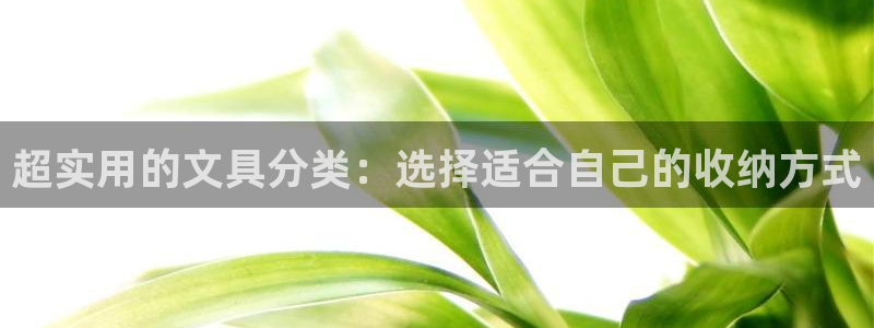 龙八国际黑不黑：超实用的文具分类：选择适