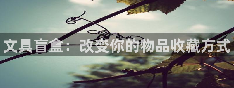 龙八国际手机版下载安装app：文具盲盒：