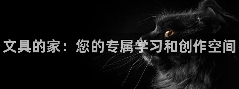 龙八国际头号玩家是谁啊：文具的家：您的专