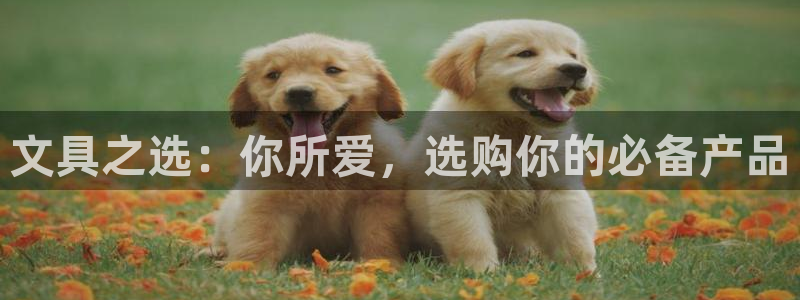 龙八国际网易云音乐：文具之选：你所爱，选