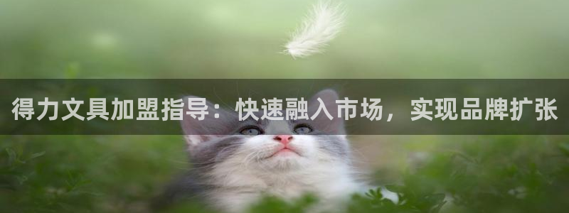 龙八国际手机在线登录：得力文具加盟指导：