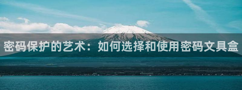 龙八国际这个平台在哪里：密码保护的艺术：