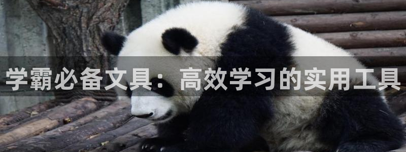 龙八国际娱乐网址：学霸必备文具：高效学习