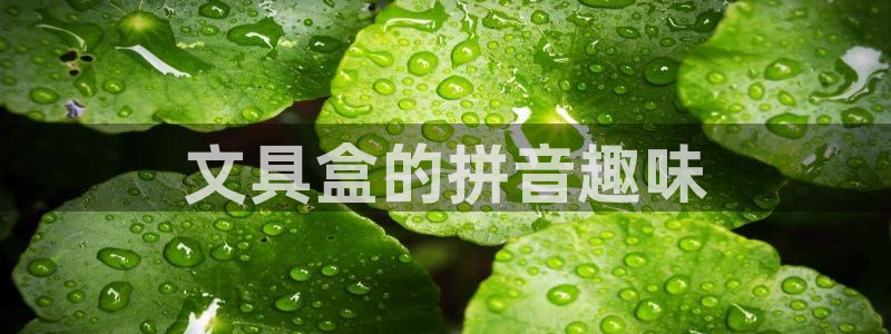 龙八国际娱乐地：文具盒的拼音趣味