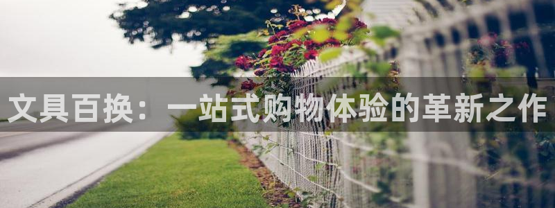 龙八国际管网：文具百换：一站式购物体验的