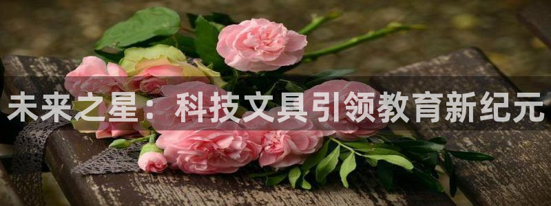 龙八国际app安卓：未来之星：科技文具引