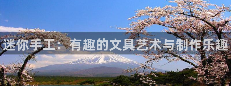 龙八国际官网手机端：迷你手工：有趣的文具