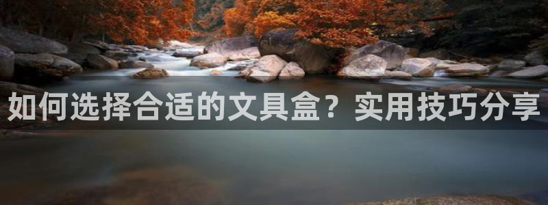 龙八国际苹果下载地址：如何选择合适的文具