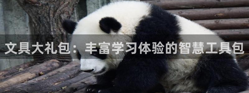 龙八国际娱乐官方：文具大礼包：丰富学习体