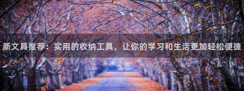 龙八国际l8520：新文具推荐：实用的收