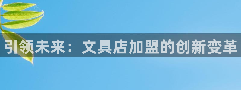 龙八国际平台安卓：引领未来：文具店加盟的