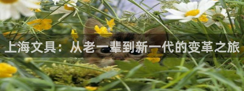 龙八国际娱乐网站：上海文具：从老一辈到新