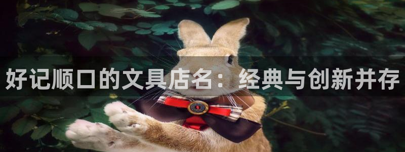 下载龙八国际app：好记顺口的文具店名：