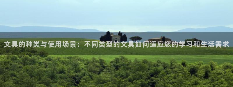 龙八国际集团有限公司：文具的种类与使用场