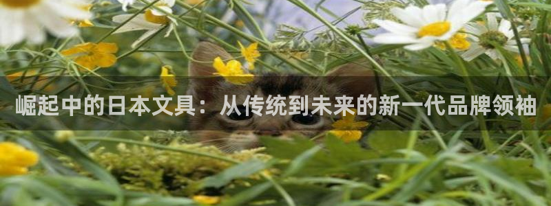 龙八国际l8520：崛起中的日本文具：从