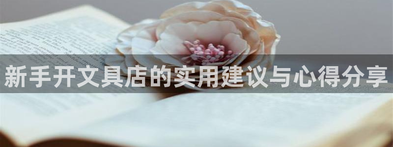 龙八国际手机客户端：新手开文具店的实用建