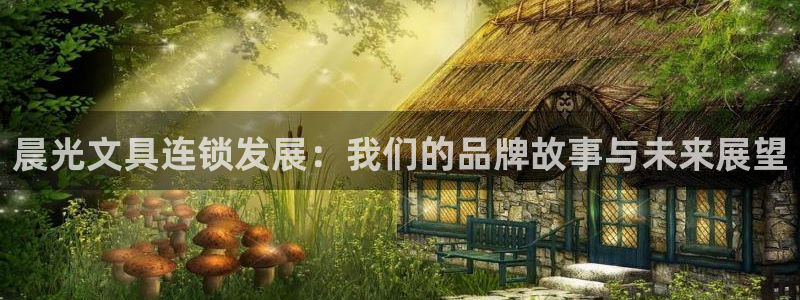 龙八国际娯乐城：晨光文具连锁发展：我们的