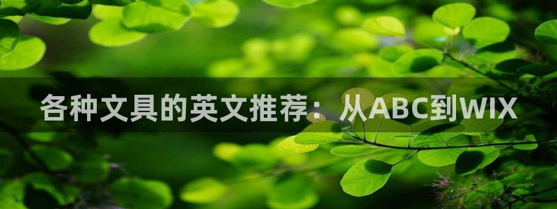 龙八国际网页long8.hn：各种文具的