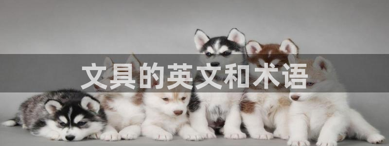 不会玩龙八国际：文具的英文和术语