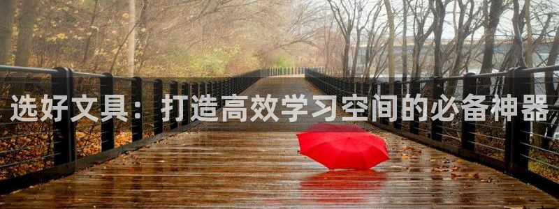 龙八国际网址是什么：选好文具：打造高效学