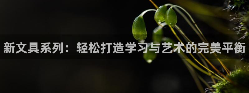 龙八国际网：新文具系列：轻松打造学习与艺