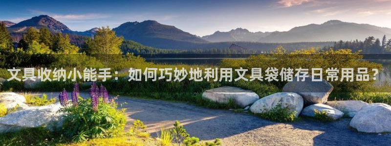 龙八国际娱 乐：文具收纳小能手：如何巧妙