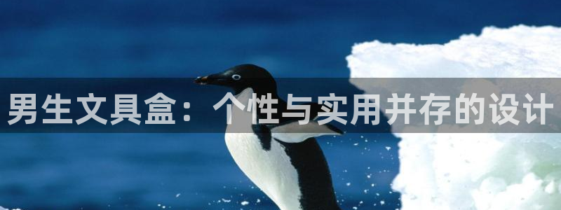 龙八国际客户端下载：男生文具盒：个性与实