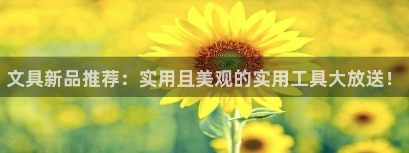 龙八国际娱乐网页多少：文具新品推荐：实用