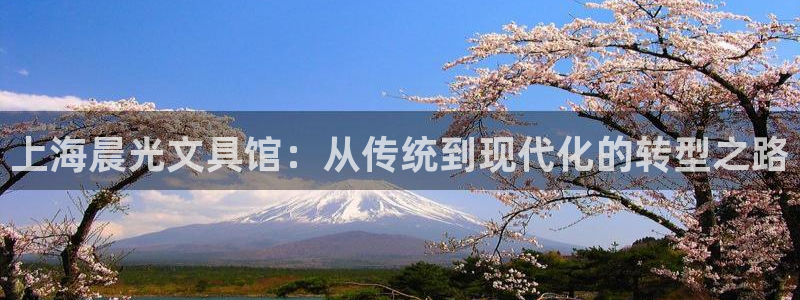 龙八国际是干什么的：上海晨光文具馆：从传