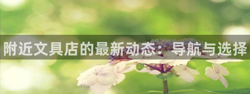 龙八国际下载欢迎您：附近文具店的最新动态