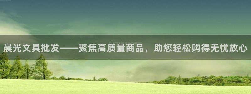 龙八国际优惠券有什么用：晨光文具批发——